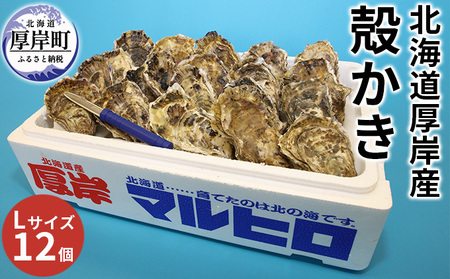 厚岸産牡蠣 Lサイズ 12個セット 生食用 ブランド牡蠣