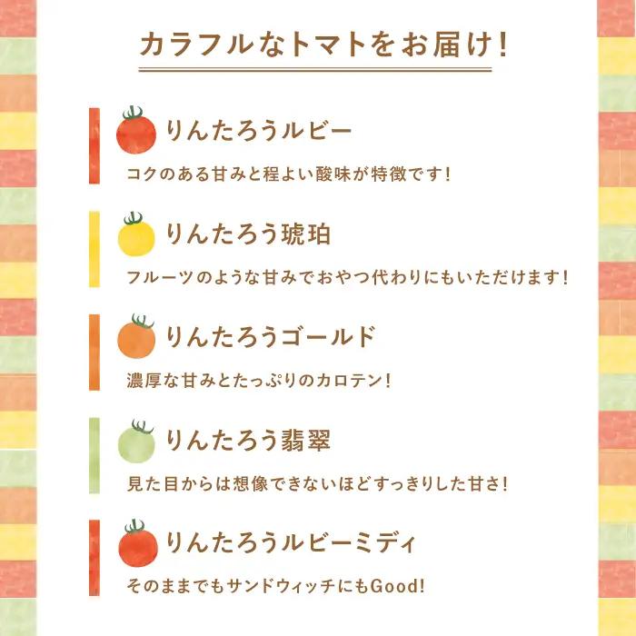 おまかせMIX カラフルミニトマト 約1.2kg [DAE002] ミニトマト