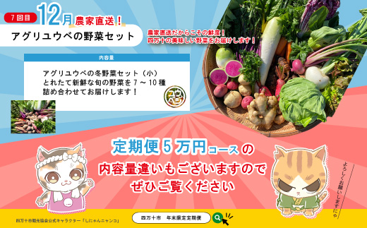 【年末限定】 7回 定期便 四万十 人気 グルメ お楽しみ しまんと ふるさと 定期便 5万円 Ｂコース 今だけ 限定 野菜 ガトーショコラ 生食パン あん食パン 魚 タタキ 鰹 かつお 肉 骨付き 