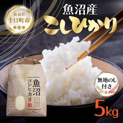 ふるさと納税 十日町市 無地のし【令和7年産 新米予約】魚沼産 コシヒカリ 5kg 精米 新潟県 十日町市 仁田地区限定