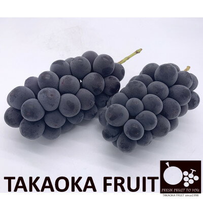 【ふるさと納税】「産地より信州中野の旬をお届け」 種なし巨峰　贈答用　約1kg　【配送不可地域：離島】【1311063】