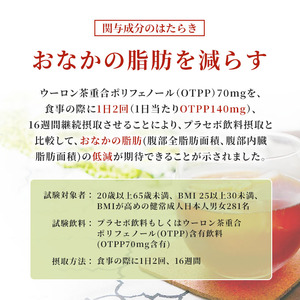 烏龍茶 定期便 2ヶ月 サントリー 2L 6本 烏龍茶