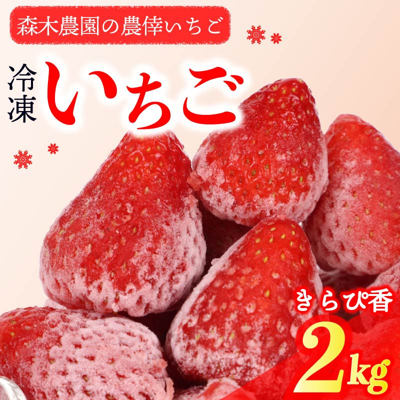 冷凍 いちご 苺 2kg以上 完熟 きらぴ香  ヘタ取り いちご 静岡 限定 苺 冷凍いちご きらぴ香 果物 スイーツ いちご 牧之原市 デザート フルーツ スイーツ アイス ジャム シャーベット ベリー 氷菓 冷凍 甘い オススメ ギフト 人気 牧之原市 森木農園