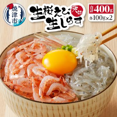ふるさと納税 焼津市 お刺身・生桜えび、生しらす・各2(a10-906)
