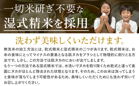 【隔月6回定期便】阿蘇びより 無洗米 20kg (5kg×4袋) 無洗