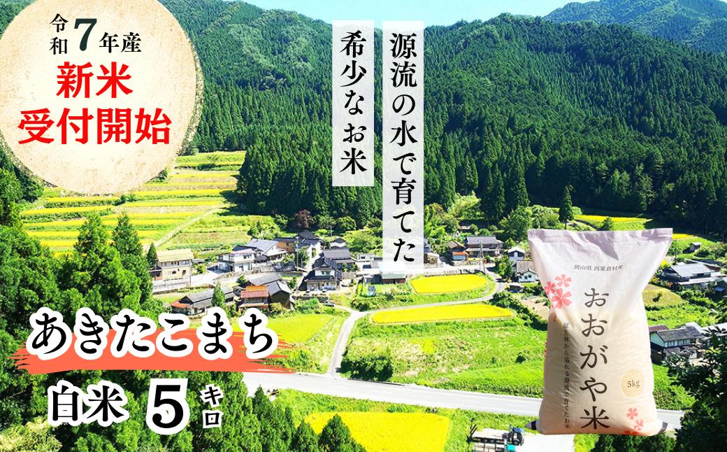 《令和7年産新米受付開始》白米 5kg 令和7年産 あきたこまち 岡山 「おおがや米」生産組合 G-bf-AEFA