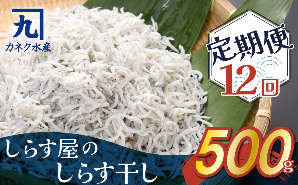 
しらす屋のしらす干し 500ｇ×12ヶ月 定期便 魚介類 しらす シラス 国産 海の幸 ご飯のお供 おつまみ しらす丼 グルメ ギフト 贈り物 やみつき 冷凍 H006-086
