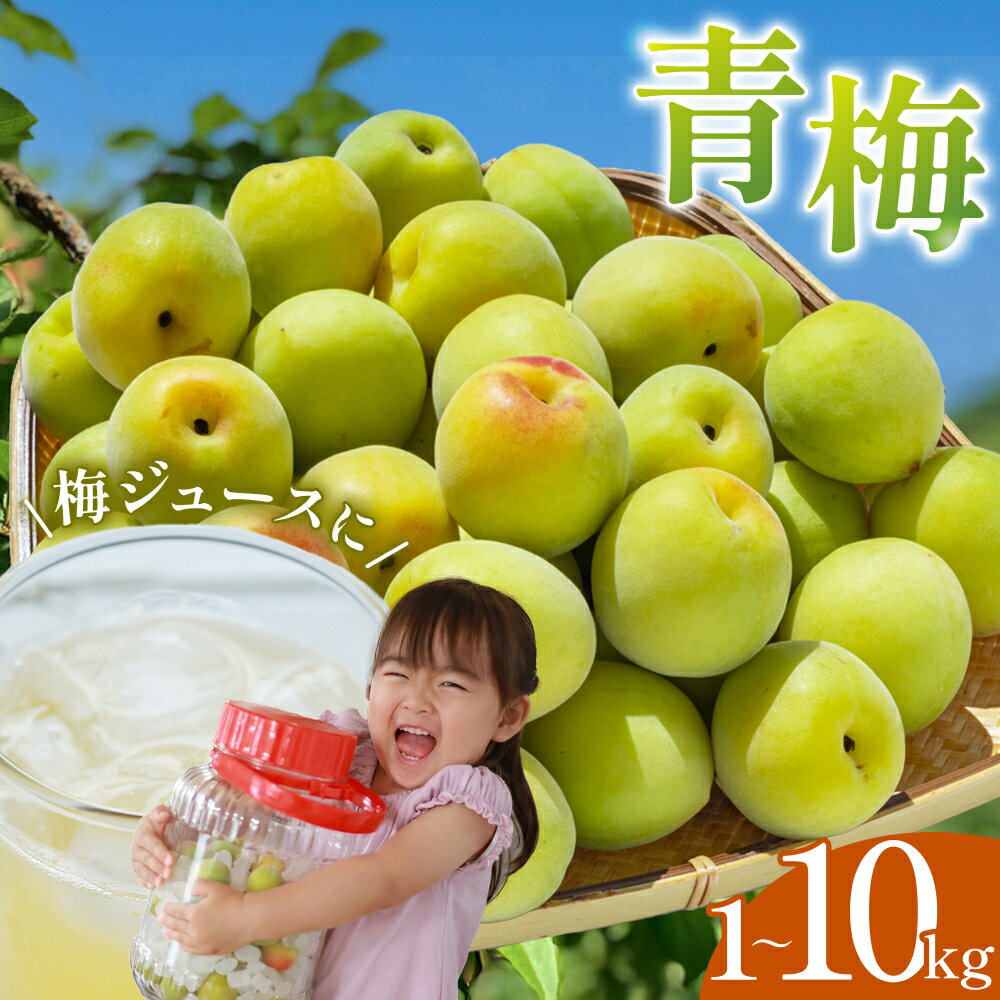 【ふるさと納税】【期間限定・2026/4/30まで】中山農園の南高梅 青梅【選べる容量】 1kg 3kg 5kg 10kg 【先行予約】※2026年5月下旬から順次発送予定※ / 紀州南高梅 梅シロップ 梅ジュース 梅酒 和歌山県