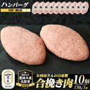 【ふるさと納税】鹿児島県産合挽き肉使用 自家製ハンバーグ計10個(1個150g)国産 鹿児島 ハンバーグ 冷凍 セット 詰め合わせ 惣菜 肉 合い挽き 合挽 豚肉 牛肉 肉 加工品 小分け 個包装 おかず【宮路ファーム】f-miyaji-1209