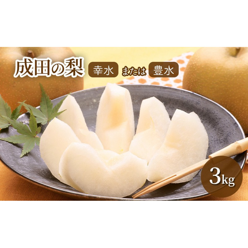 梨 【日時指定不可】 梨（幸水または豊水）3kg フルーツ 果物 なし 先行予約 特産品 旬のフルーツ 千葉県 成田市 