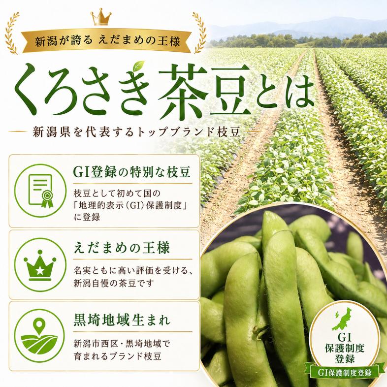 くろさき茶豆3kg  【7月下旬～9月下旬発送】  新潟県黒埼産 