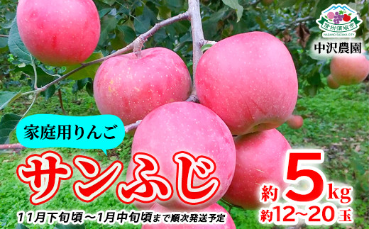 [No.5657-2690]【家庭用りんご】サンふじ 約5kg (約12～20玉) 《中沢農園》■2024年～2025年発送■※11月下旬頃～1月中旬頃まで順次発送予定