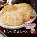 【ふるさと納税】高山の郷土菓子 とちの実せんべい13枚入り×5袋 | とちの実 せんべい お茶請け お菓子 和菓子 ご当地 お土産 おいしい 飛騨高山 有限会社糀屋柴田春次商店 ET001 | 菓子 おかし 食品 人気 おすすめ 送料無料