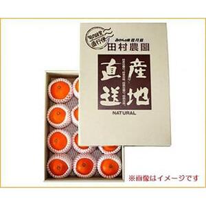 【先行予約12月上旬から発送】【1級品】愛果28号 3kg | みかん 柑橘 愛果 紅まどんな と同品種 みかん あいか 果物 フルーツ 松山市 愛媛県 田村農園 【TMN0161】