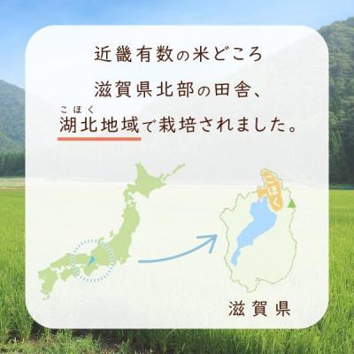 ふるさと納税 長浜市 令和6年産 滋賀県湖北産 湖北のコシヒカリ　白米　4.5kg 【食味最高ランク特A 3年連続受賞】 |  | 02