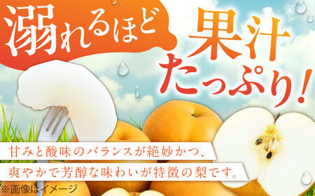 【先行予約！2024年8月下旬より順次発送】産地直送 梨 約5kg なし 豊水 果物 甘い 広川町/JAふくおか八女農産物直売所どろや[AFAB023]