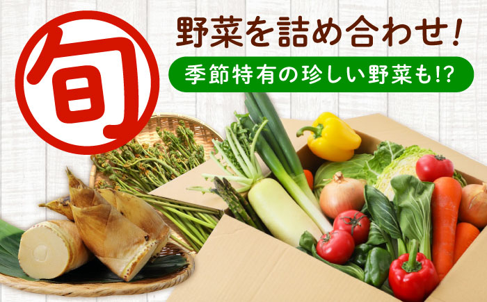 愛菜連のおまかせ野菜パック（６人用）野菜詰合せ 旬 旬の野菜 野菜セット 産地直送 ミネラル ビタミン 豊富　広島県福山市/マルフク株式会社 [BAFW002]