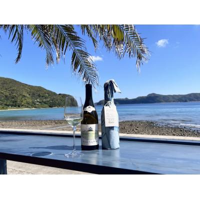 ふるさと納税 瀬戸内町 tlass-2025 2nd Edition-海底熟成前後飲み比べ白ワイン
