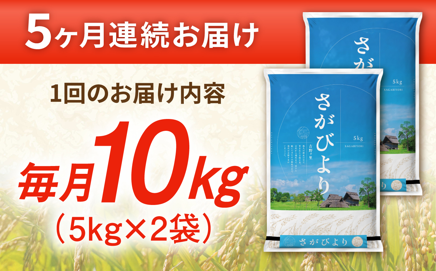 【10kg×5回定期便】【令和7年産】 さがびより 計50kg（5kg×2袋） 吉野ヶ里町/増田米穀 [FBM051]