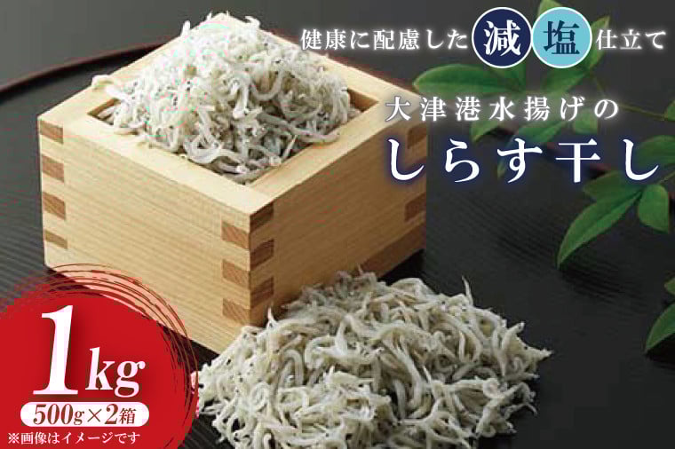 
                  大津港水揚げのしらす干し　1kg(500ｇx２箱)【シラス しらす丼 冷凍 新鮮 海鮮 魚介類  減塩 ご飯のお供 小分け 個包装 冷凍保存 カルシウム 北茨城市 茨城県】（AS206）
                