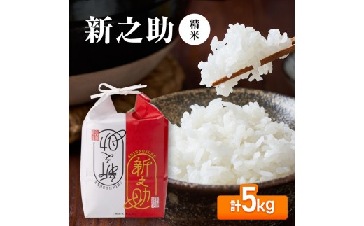 【先行予約】令和8年産 新之助5kg