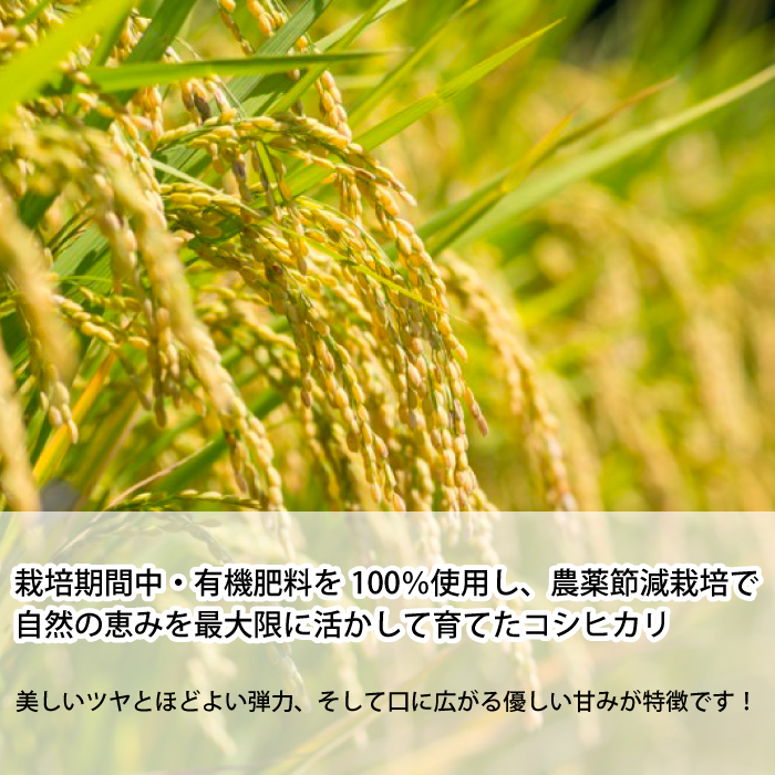 コシヒカリ精米3kg（1kg×3パック） おこめ  191001