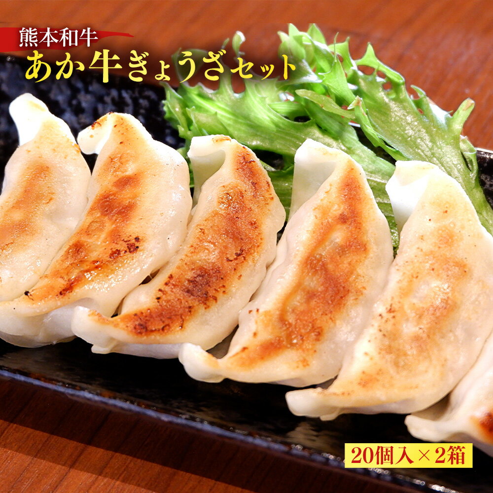 【ふるさと納税】熊本和牛 あか牛 ぎょうざ セット 20個入り×2箱 合計40個 餃子 肉 牛 和牛 褐毛和種 惣菜 肉加工品 冷凍 熊本県 湯前町 送料無料