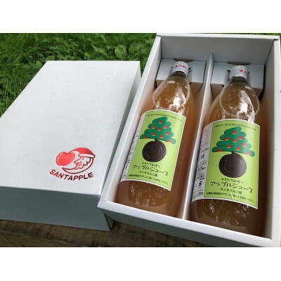 【ふるさと納税】飲むりんご!青森県産りんごジュース　1000ml×2本　化粧箱入り　大切な方への贈り物に【1338681】