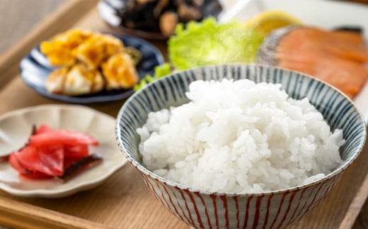 令和7年産　特別栽培米　コシヒカリ　10kg×６回　計60kg　【6か月定期便】雪蔵銀ぴか米 　【07208-0686】