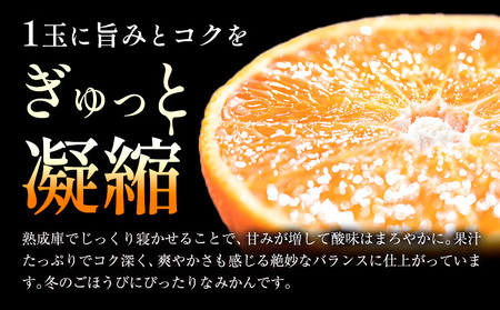 ＼お試し規格╱【極】蔵出し熟成みかん 1.9kg《2月中旬-3月上旬頃出荷》
