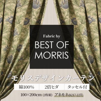 ふるさと納税 茅野市 厚地カーテン アネモネ(22T) 幅100×丈200cm 2枚組　Fabricby ベストオブモリス