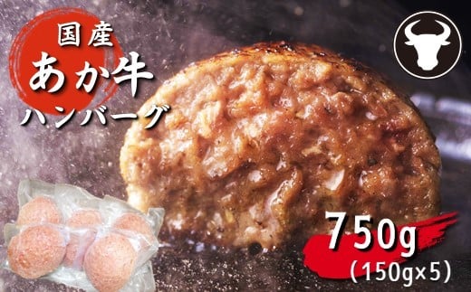 
旨味凝縮あか牛100％ハンバーグ　750ｇ（150ｇ×５個）
