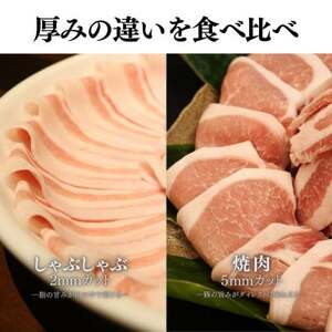 【毎月定期便】くんじゃん豚 食べ比べセット 焼肉・しゃぶしゃぶ 計19.2kg全6回【配送不可地域：離島】【4067328】
