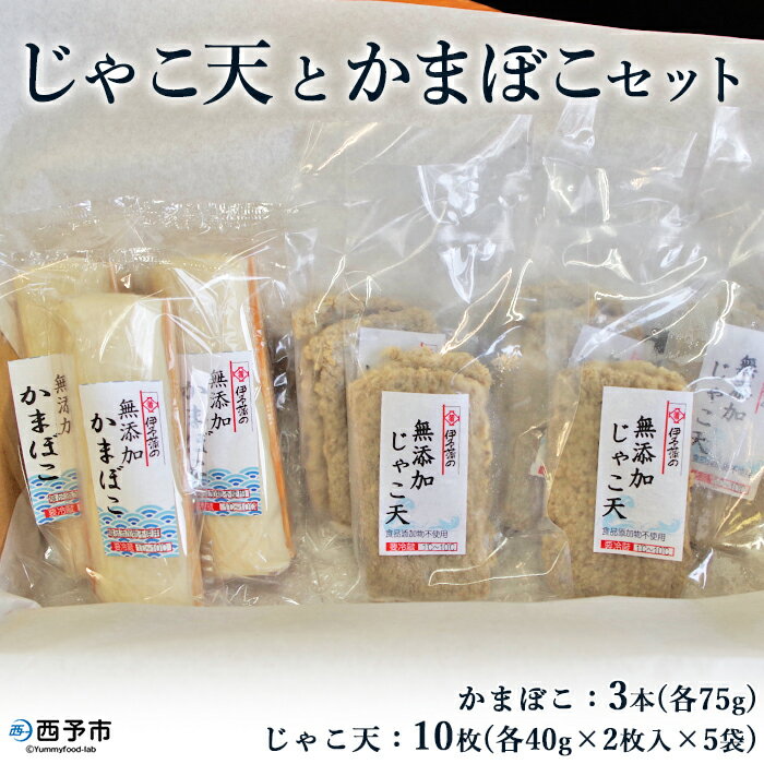【ふるさと納税】＜じゃこ天とかまぼこセット 2種 計8袋＞ メインディッシュにも！じゃこてん 天ぷら てんぷら 魚肉 練り物 練り製品 すり身 珍味 かまぼこ おつまみ 惣菜 おかず 郷土料理 特産品 伊予蒲鉾 愛媛県 西予市【冷蔵】『1か月以内に順次出荷予定』