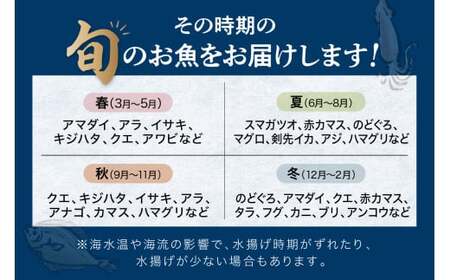 【定期便】どんちっち浜田【極上】の鮮魚 15回～最高級この男シリーズ～ 【2040】
