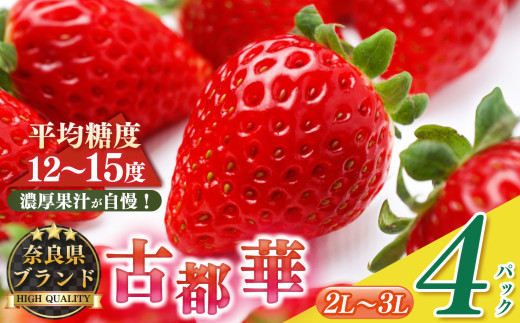 平群の古都華 2L～3Lサイズ 2ケース （4パック） | 先行予約 フルーツ 果物 くだもの ブランド いちご 苺 古都華 ことか 品種 特徴 糖度 ルビー色 旬 ふるさと納税 奈良県 平群 町