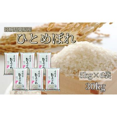 ふるさと納税 栗原市 【令和7年産】宮城栗原産 ひとめぼれ 白米30kg (5kg×6袋)