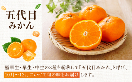 五代目みかん4.5kg／ふるさと納税 佐賀 みかん オレンジ フルーツ濃厚 甘い 酸味 大町 贈答 ギフト 贈り物 42ik-001