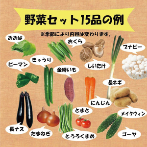【野菜ソムリエ上級プロ厳選】 野菜セット 15品 ( みかんたまご 10個入り ) | 新鮮 野菜 セット 詰め合わせ 卵 たまご 旬 産地 直送 国産 季節の野菜 愛媛県 松山市