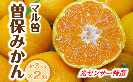【ふるさと納税】【先行予約】【配送不可地域：北海道・沖縄県・離島】みかん 曽保みかん 光センサー選別 約3kg×2箱 L～Sサイズ フルーツ 果物 果実 柑橘 デザート スイーツ 甘い 糖度 果汁 常温 食品 国産 香川県 三豊市 お取り寄せ 送料無料