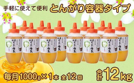 【全12回】 定期便 かの蜂 国産 そよご蜂蜜 合計12kg（とんがり容器1kgを毎月1本お届け）　024-T015
