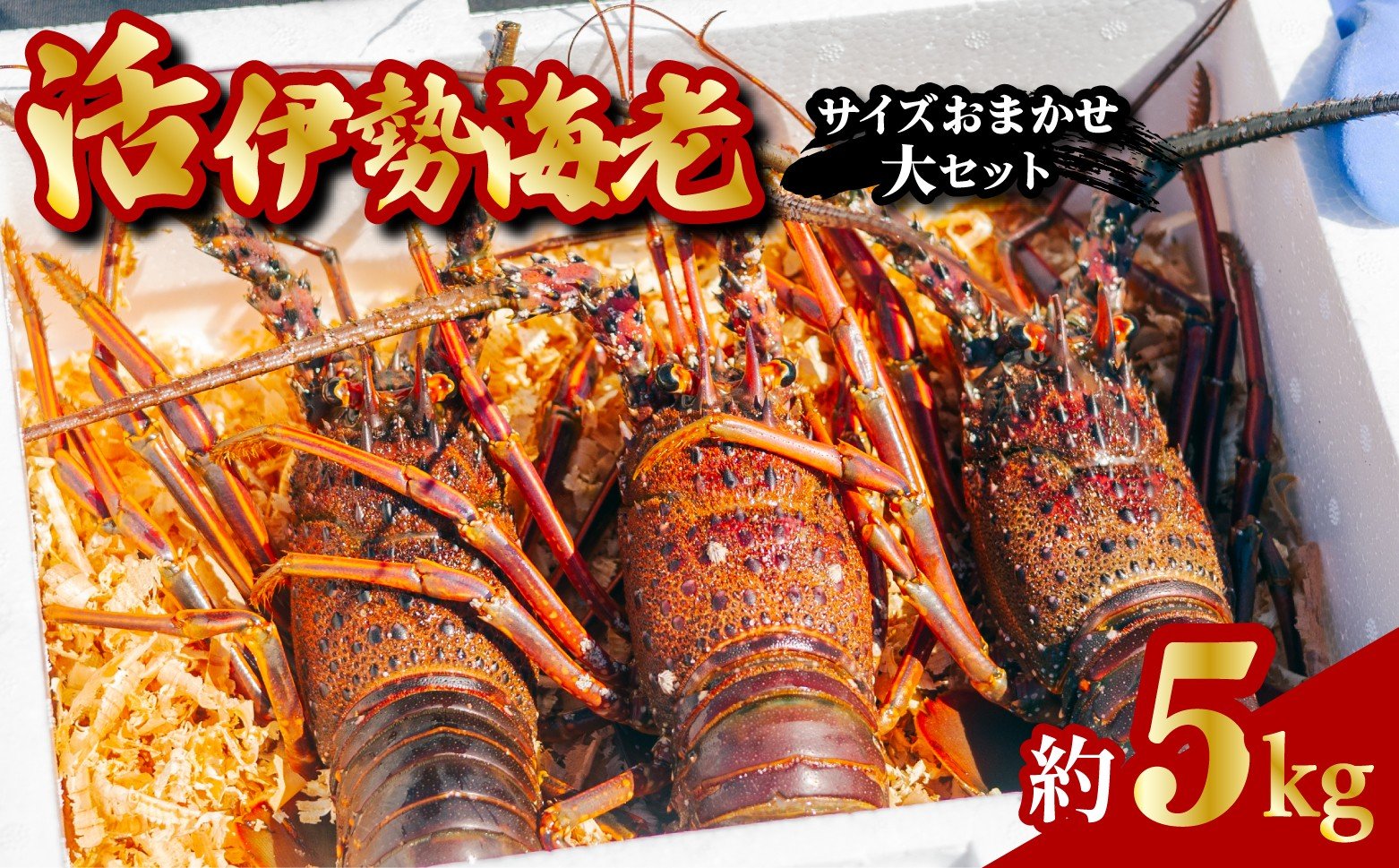 
            伊勢海老 活伊勢海老 約5kg サイズおまかせ 伊勢えび 伊勢エビ いせえび イセエビ 海老 えび エビ
          