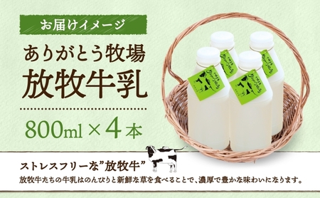 北海道 放牧牛乳 800ml×4本 牛乳 生乳 ミルク 濃厚 さっぱり まろやか 酪農 放牧 国産 無農薬 化学肥料不使用 道産飲料100% 健康 朝食 冷蔵 ありがとう牧場 送料無料