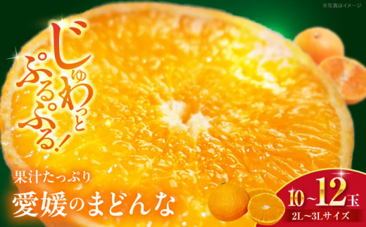 【先行予約】【11月下旬から順次発送】 まどんな 2L〜3Lサイズ 10〜12玉 みかん 果物 愛媛県大洲市/峯田農園[AGBT006] 先行予約 みかん ミカン 蜜柑 果物 くだもの フルーツ 愛媛県産 大洲市産 産地直送 おすすめ 人気 お取り寄せ 送料無料 贈答 ギフト