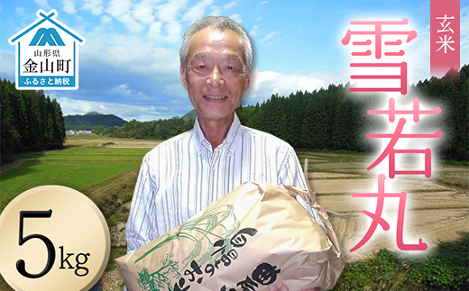 ＜先行予約＞令和8年産【玄米】雪若丸5kg（マイスター監修） 米 お米 白米 ご飯 ブランド米 山形 金山町 F4B-0771