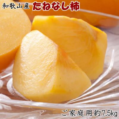 ふるさと納税 紀の川市 【2026年度発送分】【秋の味覚】和歌山産のたねなし柿約7.5kg(ご家庭用)