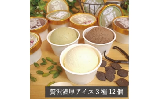 アイス職人の作るこだわり アイスクリーム 3種12個セット 90ml入り ピスタチオ チョコ バニラ_アイス 職人 素材重視 アイスクリーム ピスタチオ チョコ バニラ 食べ比べ スイーツ デザート ギフト プレゼント 送料無料【1577222】