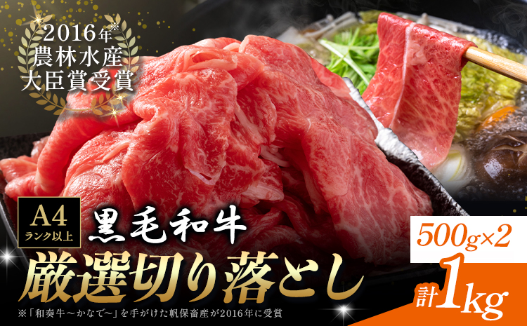 厳選 くまもと黒毛和牛 切り落とし 1kg ( 1パック 500g ) 《30日以内に出荷予定(土日祝除く)》熊本県 大津町 和牛焼肉LIEBE くまもと黒毛和牛 切り落とし 冷凍 リーベ