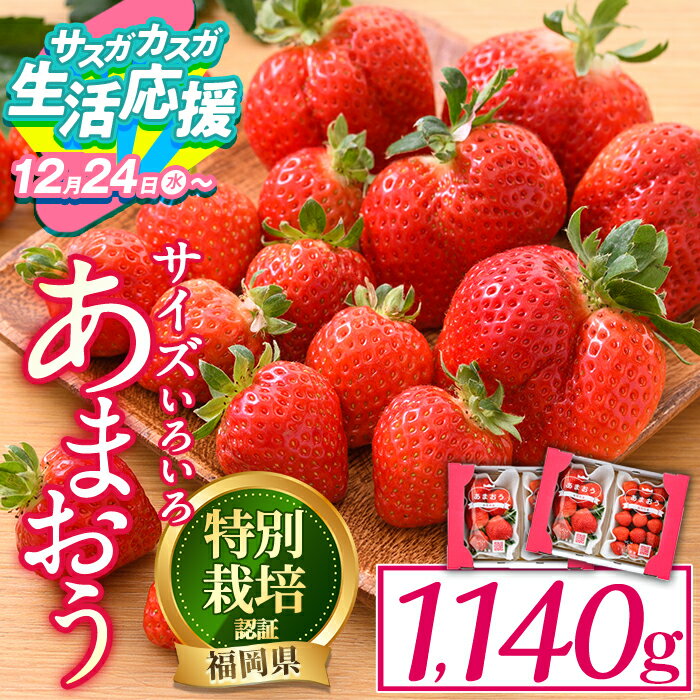 【ふるさと納税】＜数量限定・予約受付中！2026年3月～4月中旬より順次発送予定＞ ＜不揃い＞ あまおう (計1.14kg・285g×4P) 苺 いちご イチゴ フルーツ 果物 冷蔵 特別栽培 福岡県 国産 ＜離島配送不可＞【ksg1222・ksg1222-g】【うるう農園】