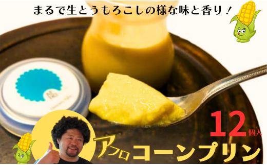 アフロコーン プリン  １２個 千葉県 銚子産 とうもろこしのプリン まるで生とうもろこしのような味と香り！ アフロコーン プリン とうもろこし 生とうもろこし トウモロコシ デザート おやつ お取り寄せ ごほうび こだわり お菓子 冷凍 規格外 規格外野菜 送料無料 ギフト 贈り物 贈物 千葉県 銚子市 Hennery Farm 株式会社くるくるやっほー